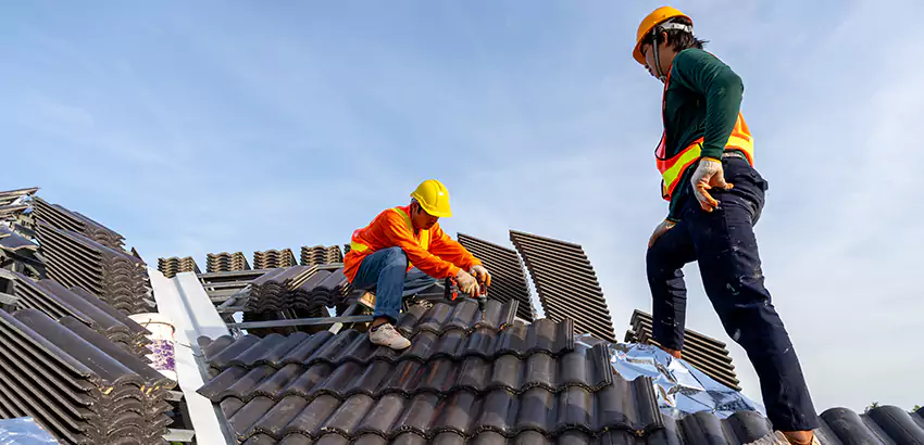 Professional Roofing Services in Spring Valley, CA